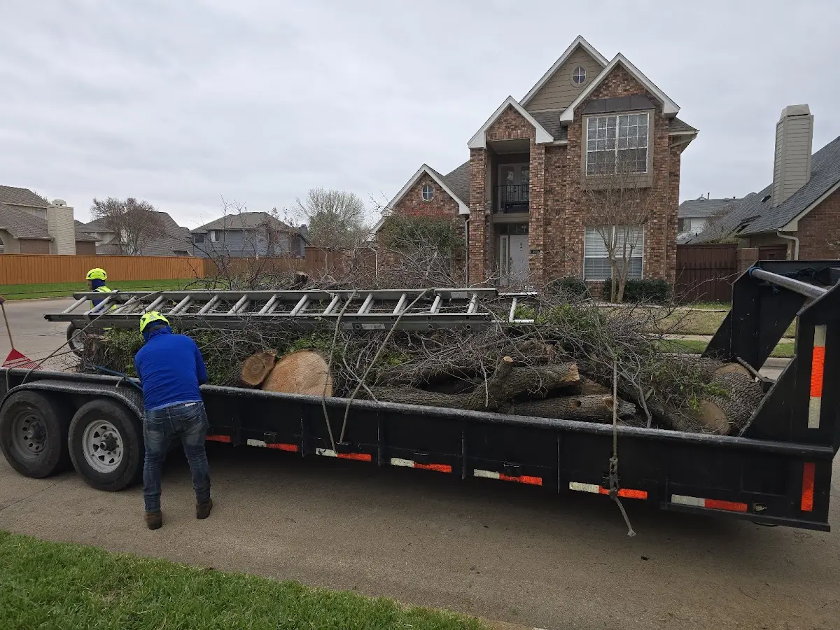 Expert Lot Clearing with proper safety equipment in Shiloh
